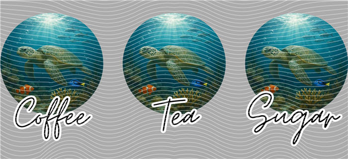 16oz Latest Bestseller-C 2676